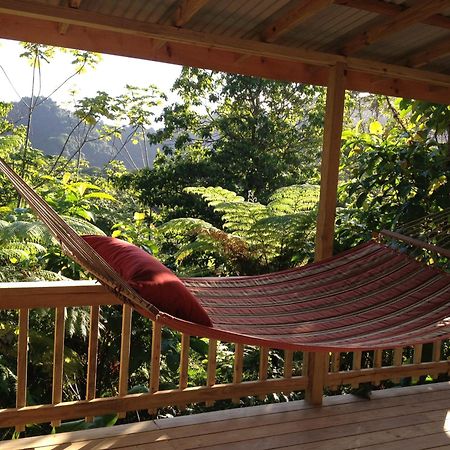 Roots Jungle Retreat Villa Marigot Kültér fotó