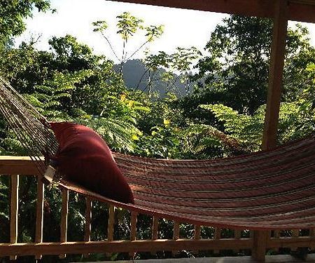 Roots Jungle Retreat Villa Marigot Kültér fotó