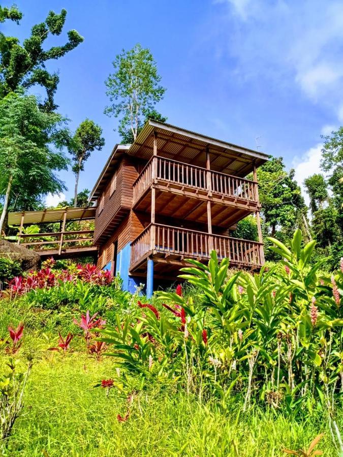 Roots Jungle Retreat Villa Marigot Kültér fotó