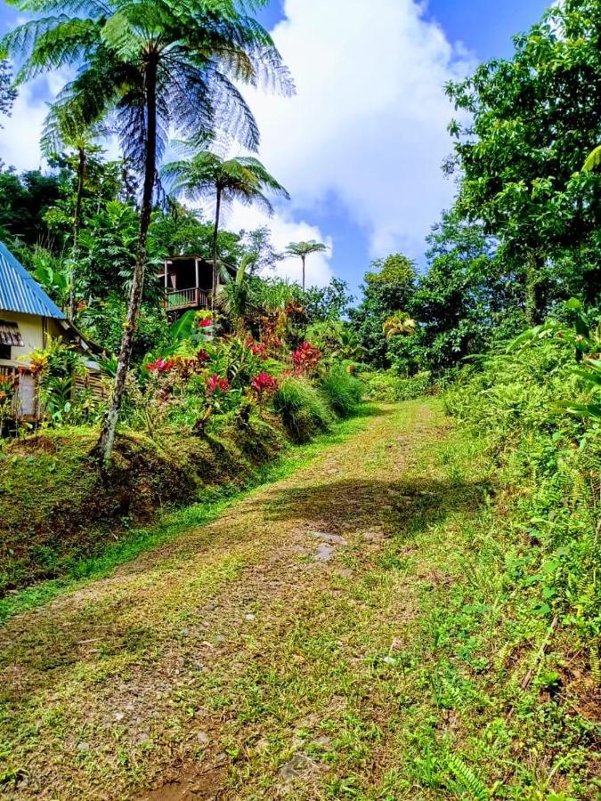Roots Jungle Retreat Villa Marigot Kültér fotó