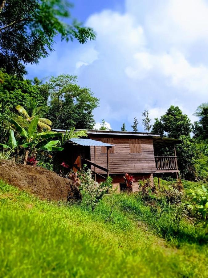 Roots Jungle Retreat Villa Marigot Kültér fotó