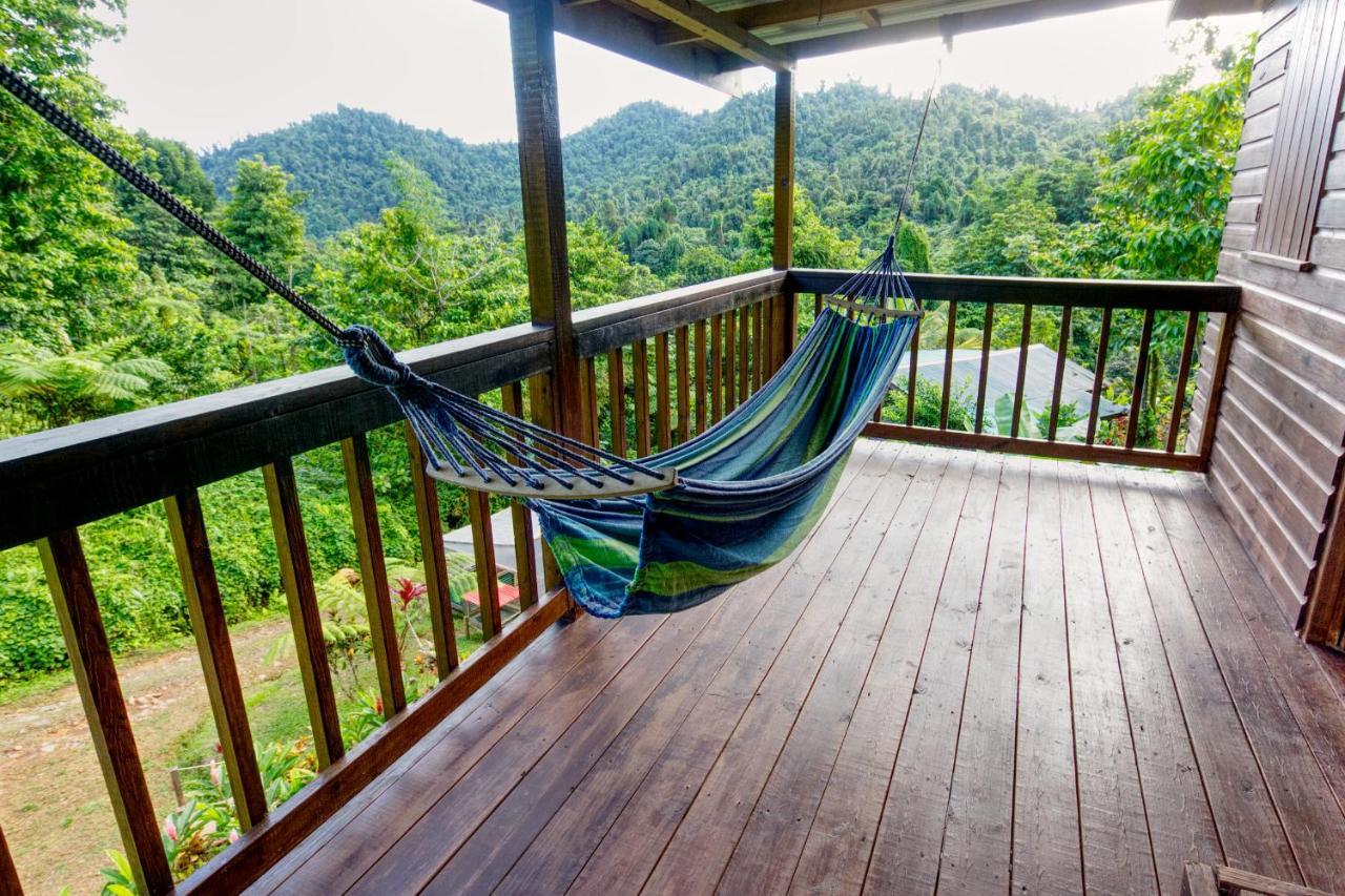 Roots Jungle Retreat Villa Marigot Kültér fotó