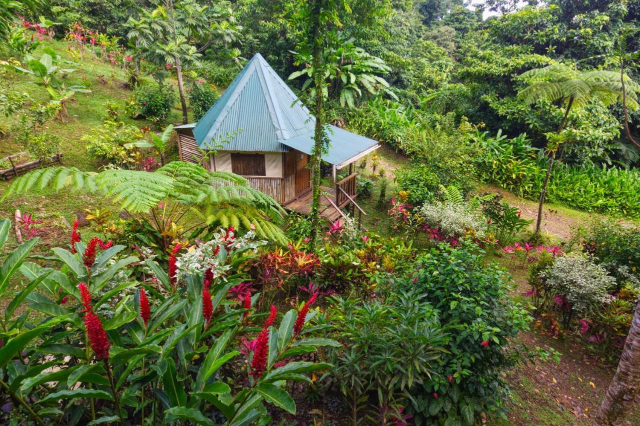 Roots Jungle Retreat Villa Marigot Kültér fotó
