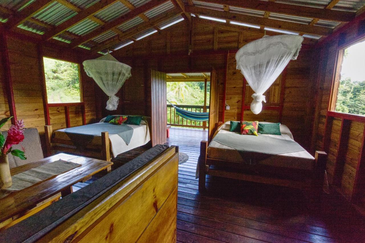 Roots Jungle Retreat Villa Marigot Kültér fotó