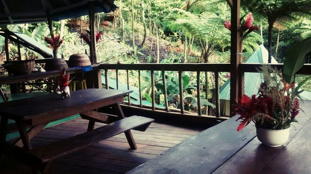 Roots Jungle Retreat Villa Marigot Kültér fotó