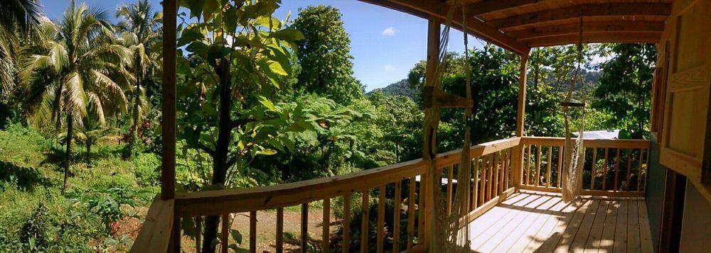 Roots Jungle Retreat Villa Marigot Kültér fotó