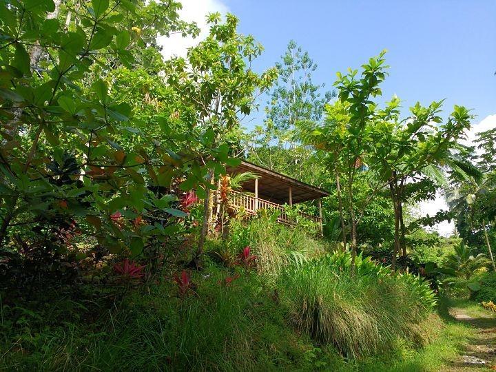 Roots Jungle Retreat Villa Marigot Kültér fotó