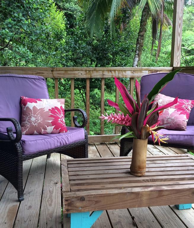 Roots Jungle Retreat Villa Marigot Kültér fotó