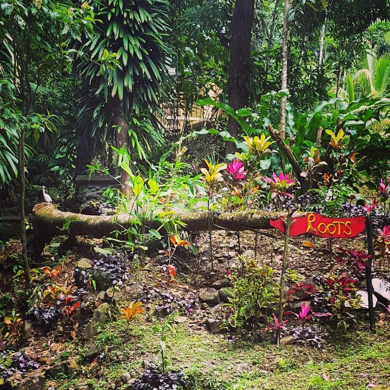 Roots Jungle Retreat Villa Marigot Kültér fotó