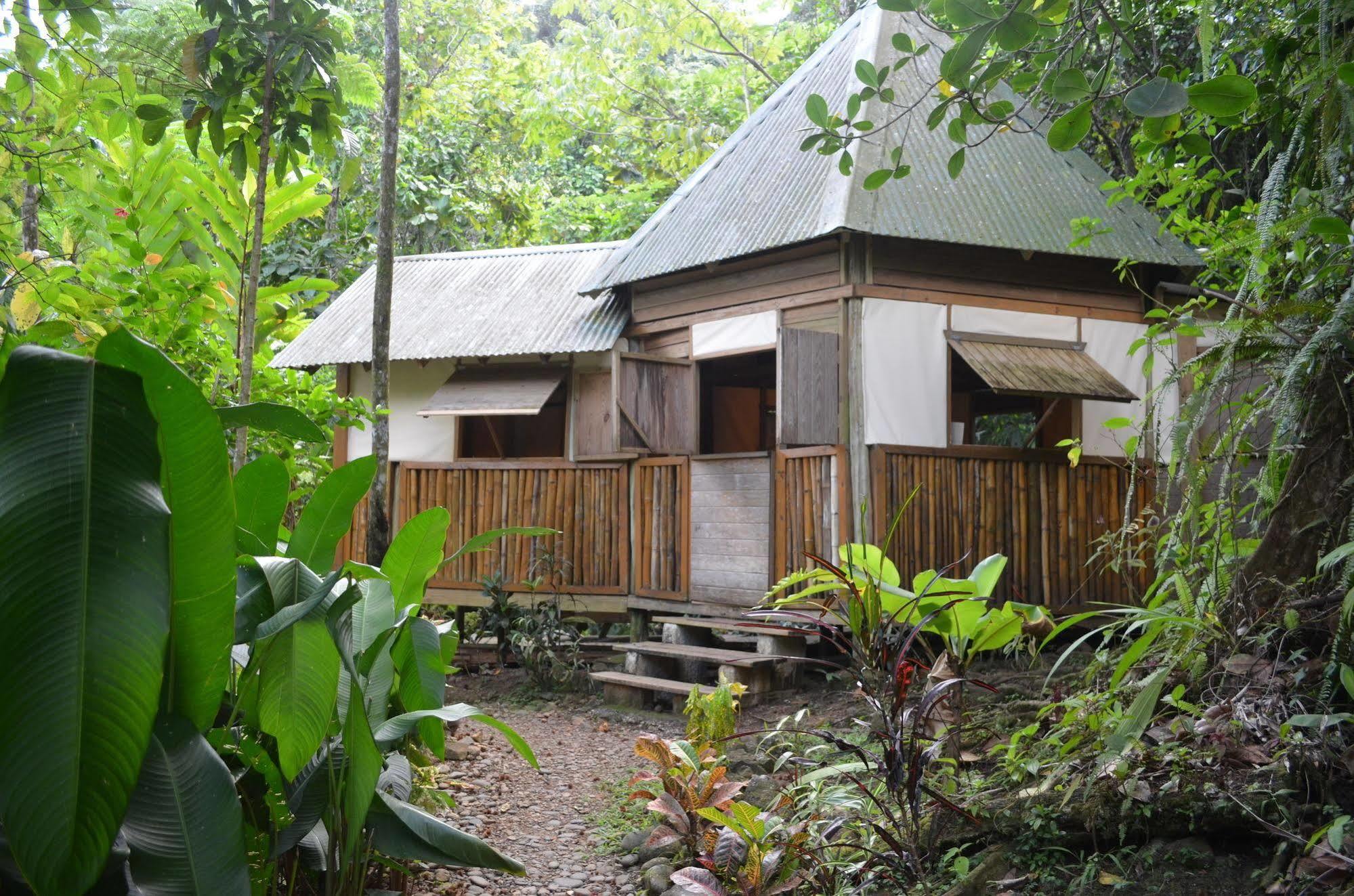 Roots Jungle Retreat Villa Marigot Kültér fotó