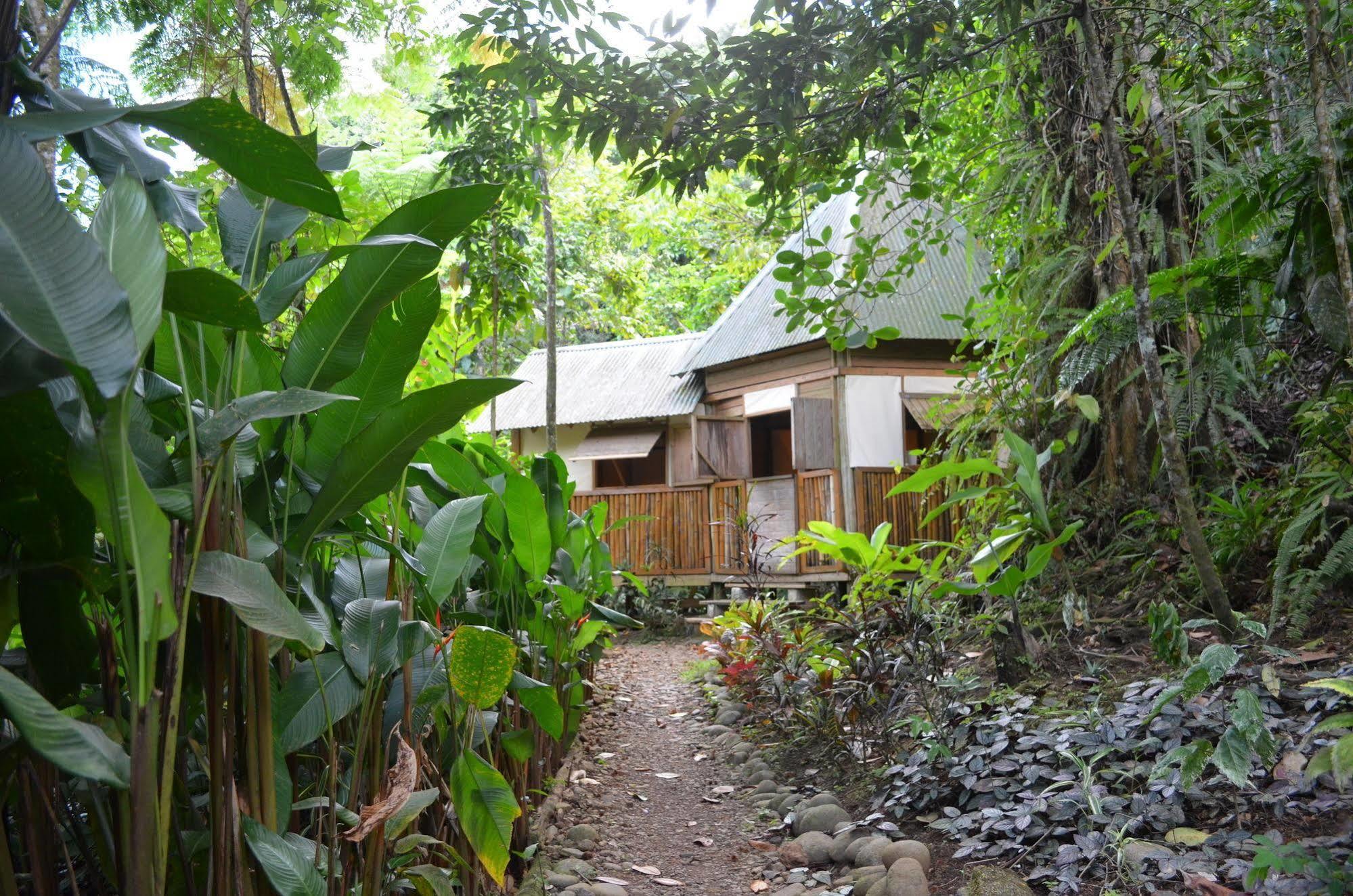 Roots Jungle Retreat Villa Marigot Kültér fotó