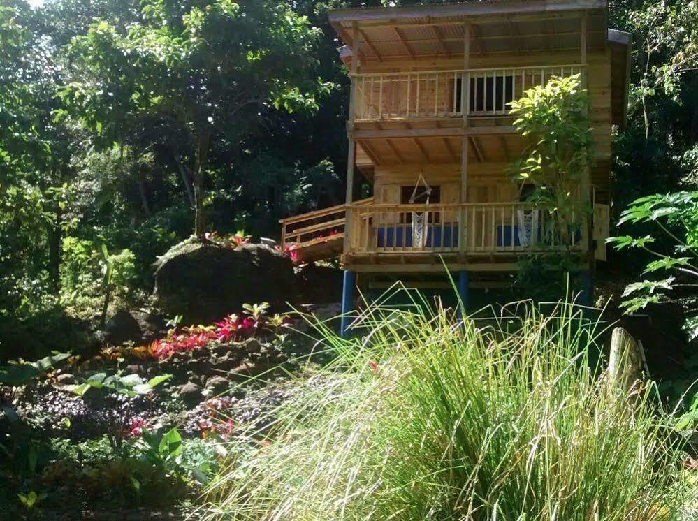 Roots Jungle Retreat Villa Marigot Kültér fotó